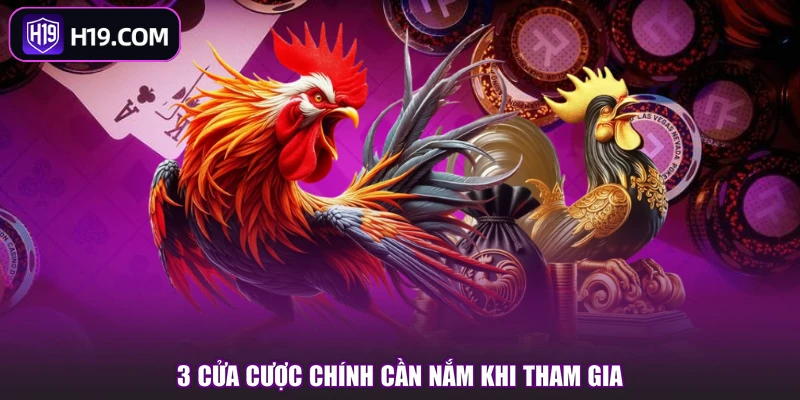 Đá Gà Tre - Màn So Tài Kịch Tính, Xem Là Cuốn Ngay - slotpioneer88.surf