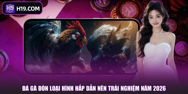 Đá Gà Đòn - Sân Chơi Hấp Dẫn, Cược Thắng Lớn Tại H19 - slotpioneer88.surf