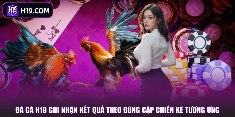 Đá Gà H19 | Khám Phá Sảnh Chơi Và Các Kiểu Cược Hot - slotpioneer88.surf