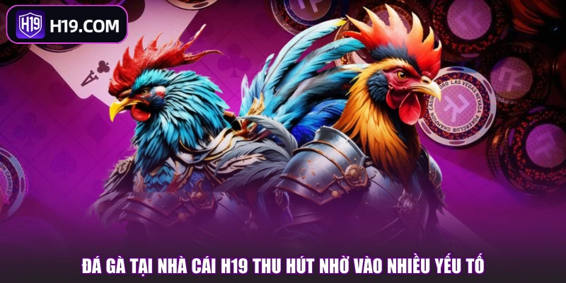 Đá Gà H19 | Khám Phá Sảnh Chơi Và Các Kiểu Cược Hot - slotpioneer88.surf