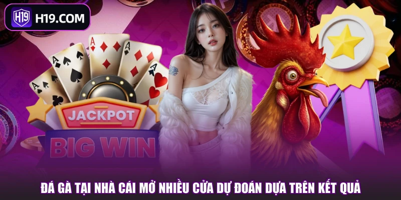 Đá Gà H19 | Khám Phá Sảnh Chơi Và Các Kiểu Cược Hot - slotpioneer88.surf