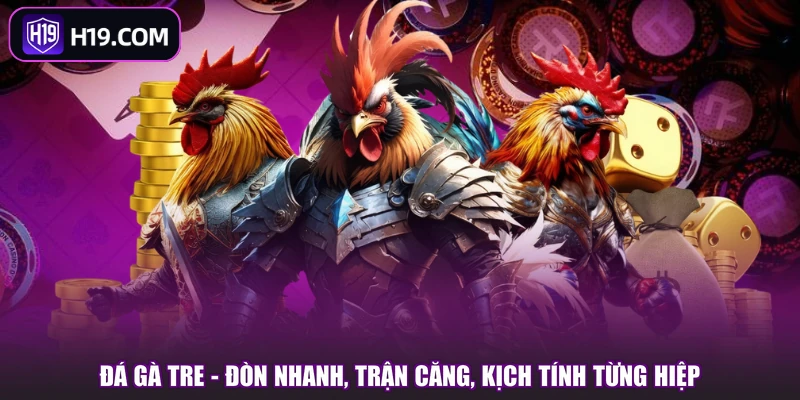 Đá Gà H19 | Khám Phá Sảnh Chơi Và Các Kiểu Cược Hot - slotpioneer88.surf