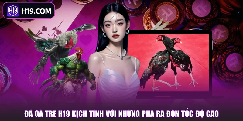 Đá Gà Tre - Màn So Tài Kịch Tính, Xem Là Cuốn Ngay - slotpioneer88.surf