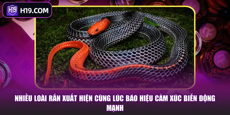 Mơ Thấy Rắn - Bật Mí Điềm Báo Ẩn Sau Giấc Chiêm Bao - slotpioneer88.surf