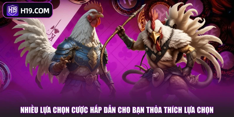Đá Gà Đòn - Sân Chơi Hấp Dẫn, Cược Thắng Lớn Tại H19 - slotpioneer88.surf